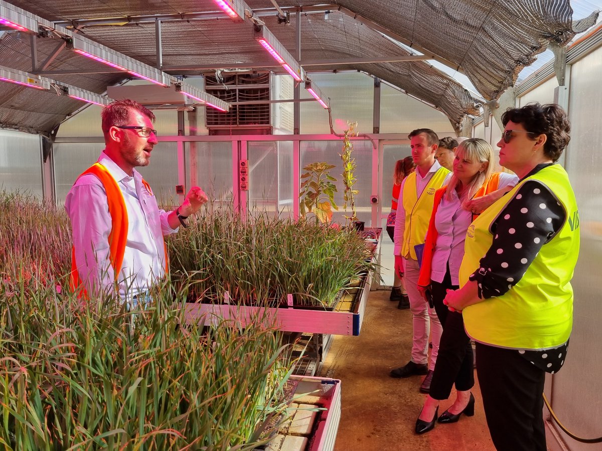 InterGrain1's tweet photo. It was a pleasure to host the new WA Minister for Agriculture &amp; Food, Jackie Jarvis MLC to showcase our world-class breeding programs. It was great timing, as our WA HQ is a hive of activity processing material from the 2022 season &amp; ramping up to prepare our 2023 program. https://t.co/AuaYfxZqOD
