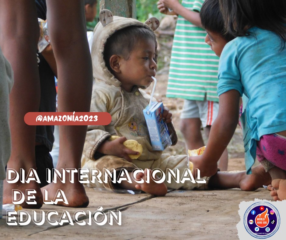💢En Ecuador 252 mil niños, niñas y adolescentes están fuera del sistema educativo!

📍La falta de educación reduce las posibilidades de que los niños y niños desarrollen su potencial y tengan un futuro mejor.
.
#EducacionComunitaria
#educaciónamazónica
#CorazóndelaSelva