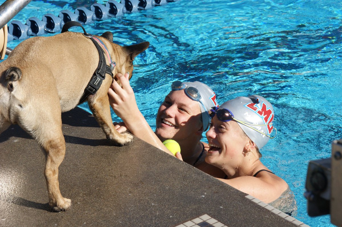 lmulionsWSWIM's tweet photo. We had a great time at Pepperdine this past weekend for the WCC Cup! Only 2 more weeks until our conference championship! https://t.co/Dcgzw838Wm