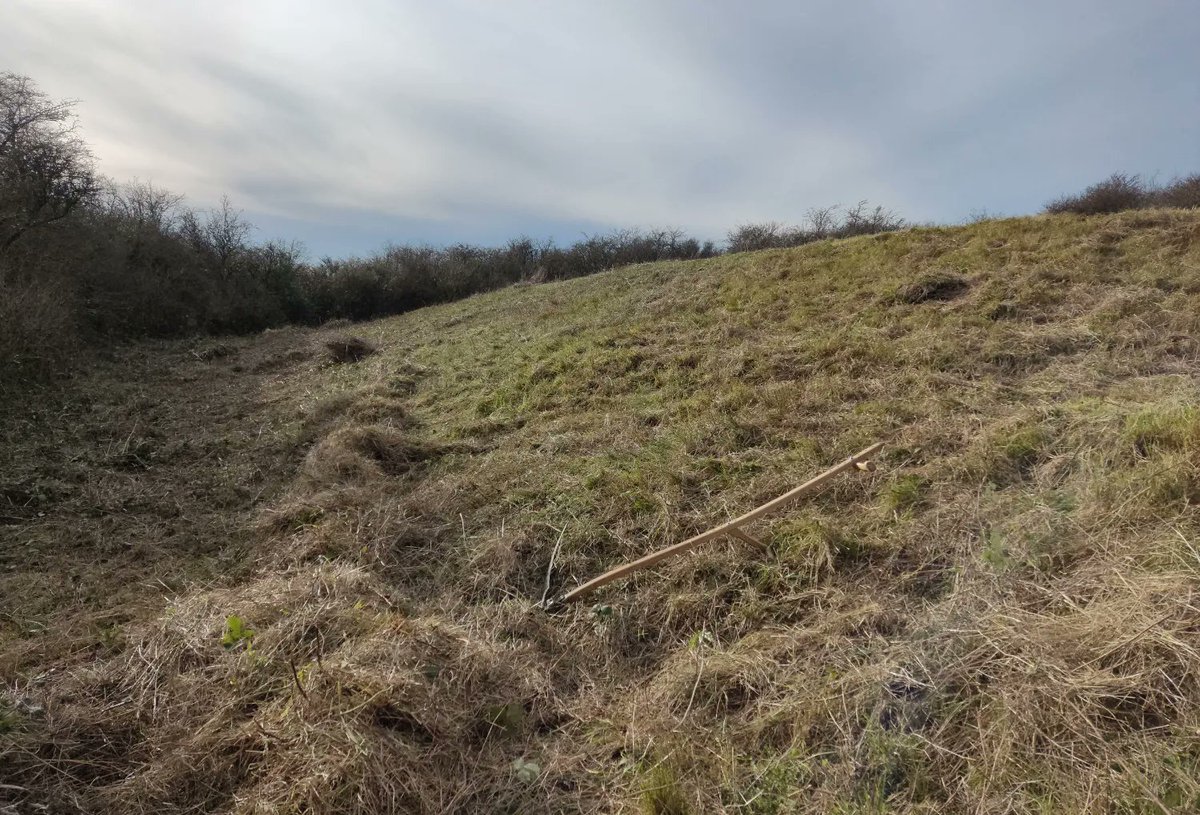 SevenSistersCP's tweet photo. Eastern area rangers spent the day restoring chalk grassland growing over a 6000-year-old Burial mound!

It requires careful cutting once a year to remove nutrients and create space and light for rare chalk grassland species to thrive. 

#SevenSisters https://t.co/m4iidjFZd8