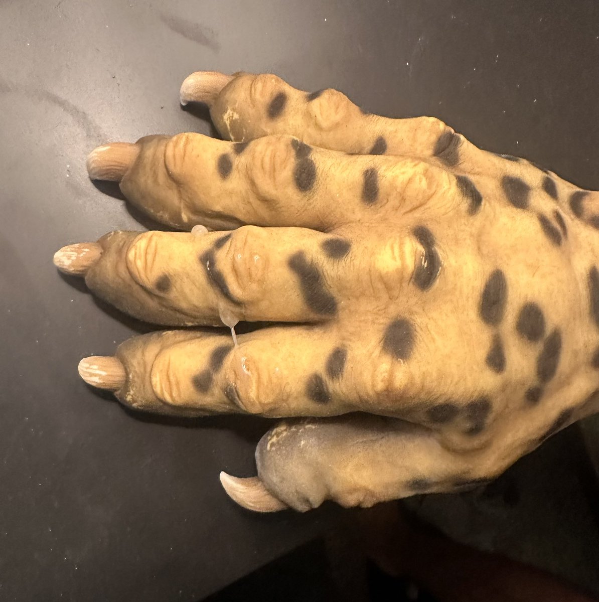 Clyde the Rubber Creature (@rubberleopard) on Twitter photo 