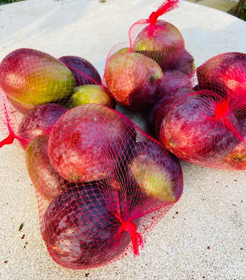 M_tshidzi's tweet photo. If you're in Polokwane, please note I currently have some of the juiciest mangoes for sale at just R50 for 6 (Whilst stocks last) #plktwitter https://t.co/328YCNEPyz