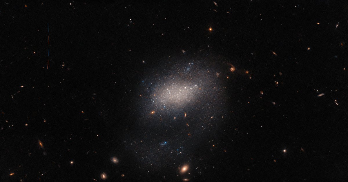 Kozmik bir hazine! 🤩

Bu #HubbleFriday çok astronomik mucize içerir: puslu gökada UGC 7983, daha uzak gökadalar ve hatta sol üstte dört ışık çizgisi olarak görülen bir asteroit (Hubble tarafından çekilen dört pozdan).