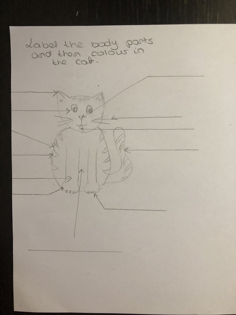 Improvising English resources to adapt to my youngest’s mood. This morning,  she was in the mood for our usual CGP activity books. She requested I drew something that she would label in English. I guess it is better than nothing! 😅 
#raisingbilingualkids #raisingbiliteratekids