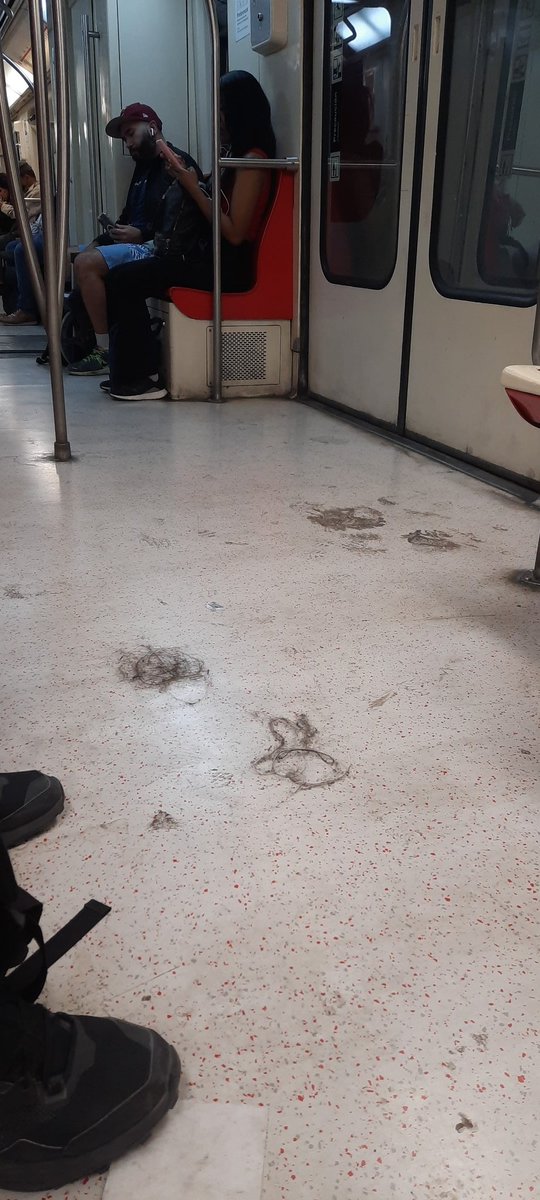 PelantaroAC's tweet photo. Así con la buena limpieza de @metrodesantiago @MTTChile 
Tren desde pajaritos hacia los dominicos https://t.co/cudfYn6NC8