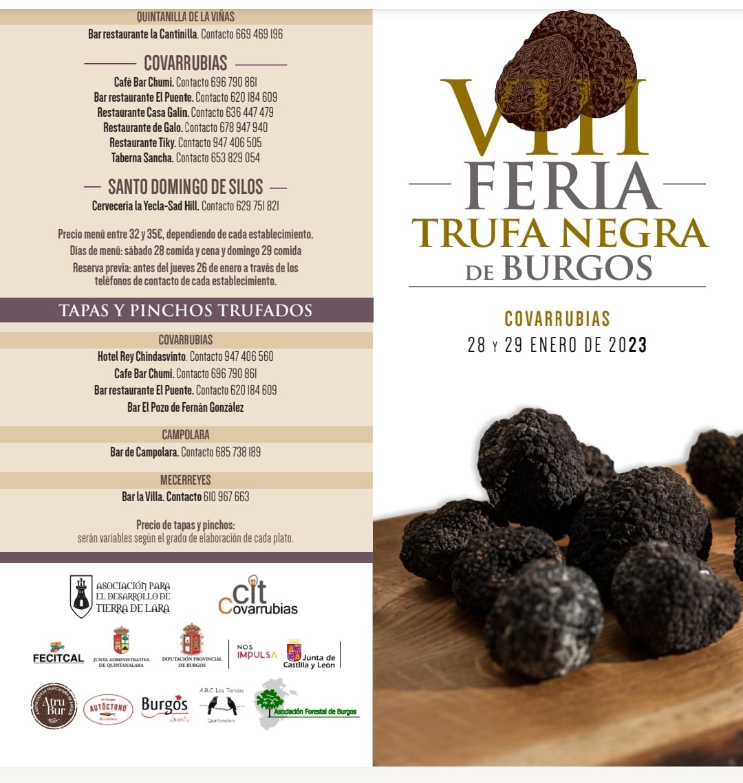 CovarrubiasTurismo tweet media