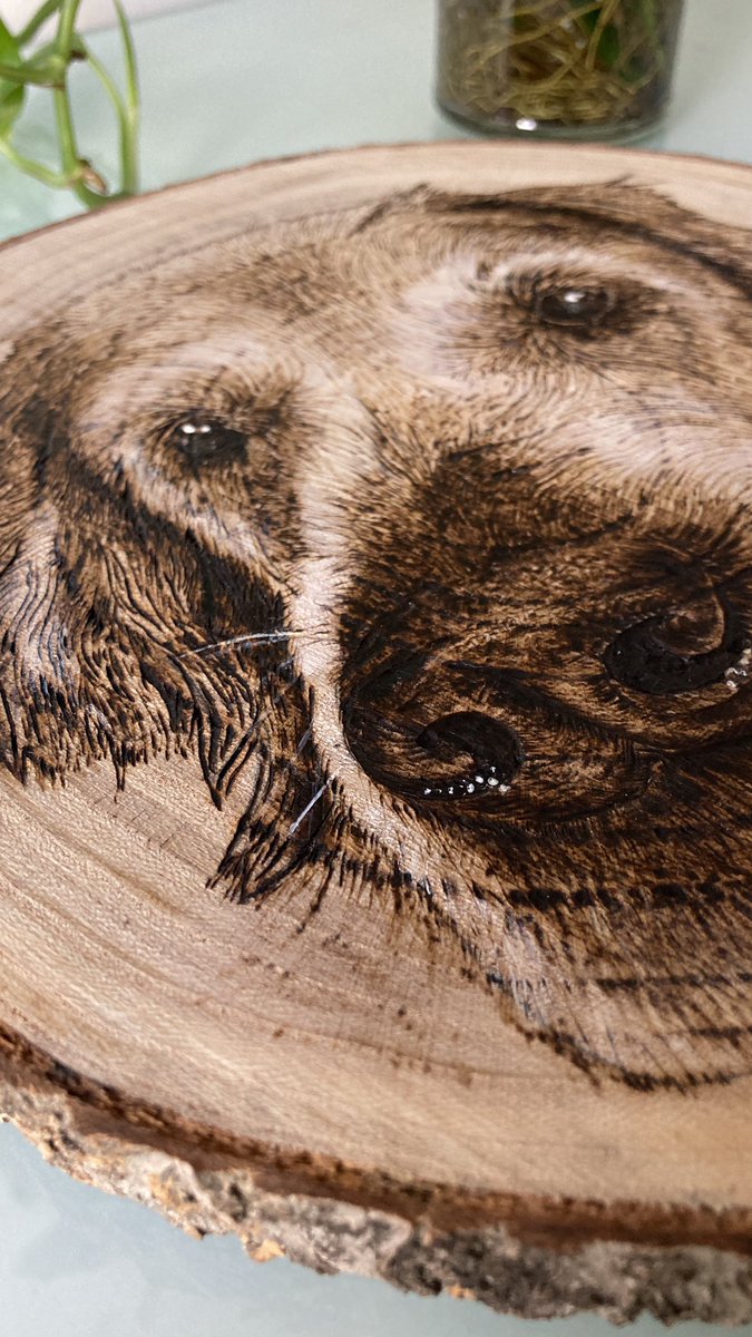 curious_pickle's tweet photo. A couple of 2022’s Christmas #gifts! More on my Etsy shop https://t.co/RbaR4XWU6L #pyrography #artist #giftideas https://t.co/0j08h6Uzx7