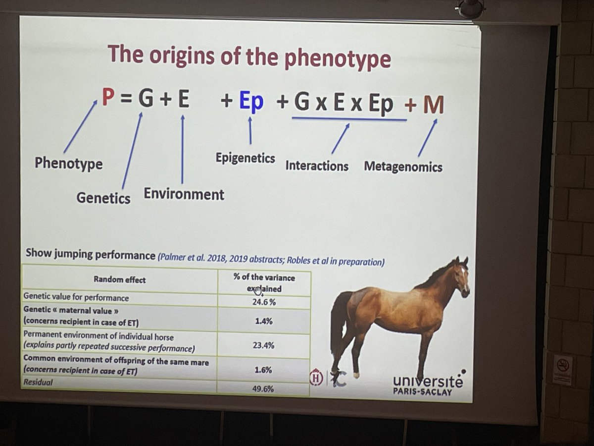 metaos's tweet photo. 50% of showjumping performance is explained by genetics and the horse’s environment but the other 50%?@pascalechavatte suggests it’s partly down to how we manage the mare around conception & during pregnancy. @RossdalesVets #EquineRepro https://t.co/oKOQ1acntD