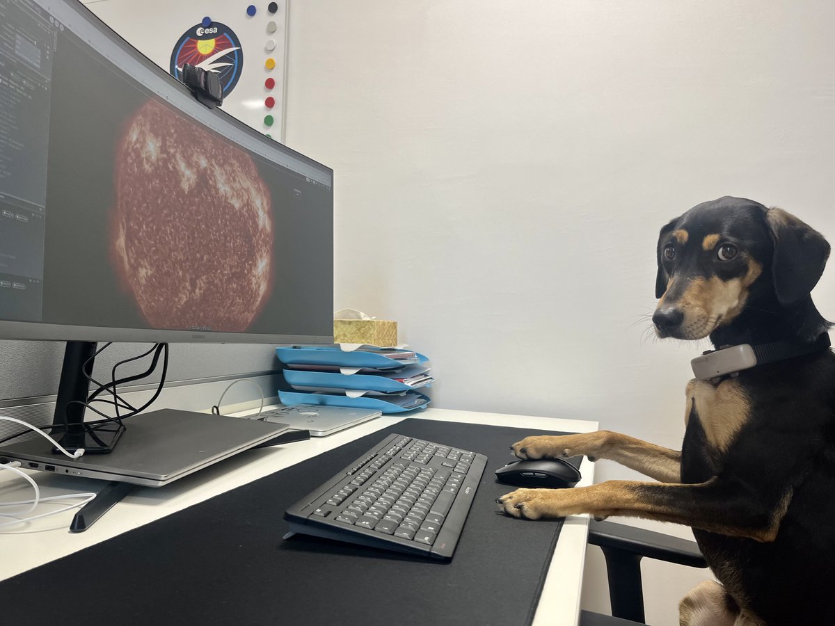 Christian Möstl tweet media