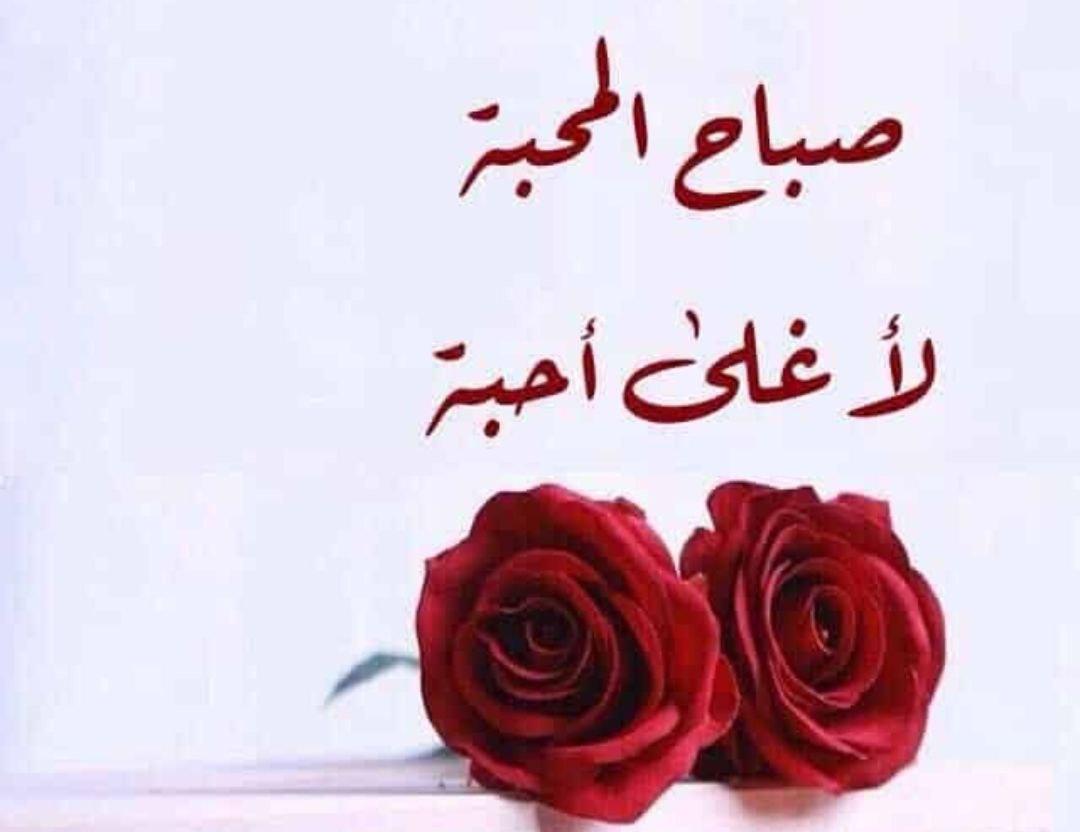 مملكة زينه tweet media