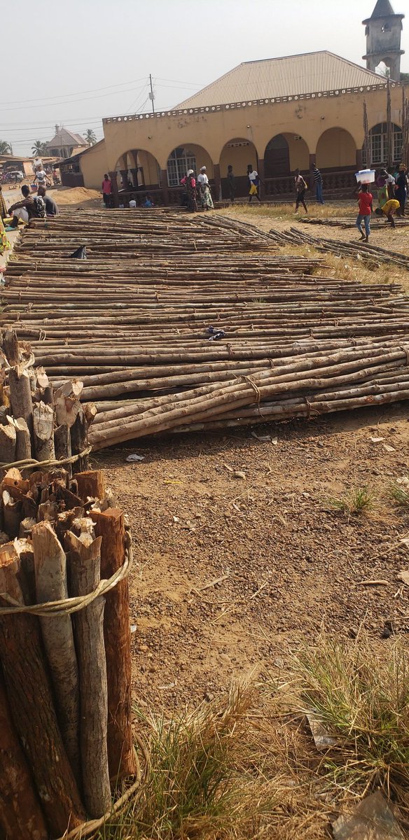 This is a challenging situation for this community. We must create alternative livelihood solutions program. We need your funding support to create justice for the environment. Tree cutting is causing harm