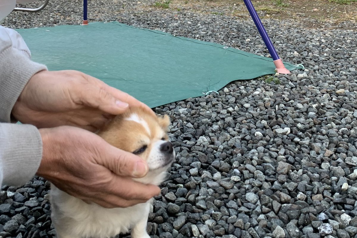 (32) (@chiwarwar) on Twitter photo 