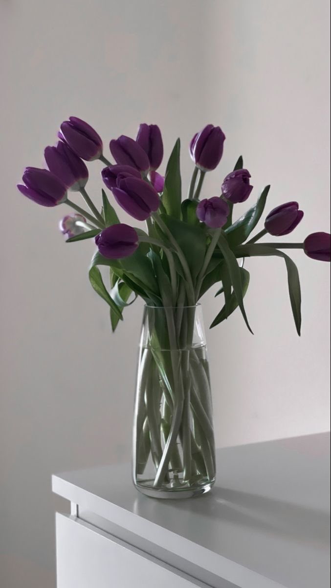 haaileybtv's tweet photo. tulips 🥰 https://t.co/WfJ1OW4oGG