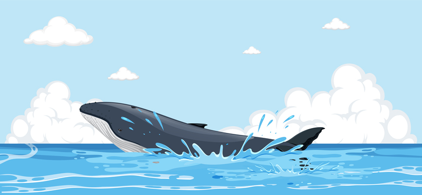 JungNang_Gu's tweet image. [🚩 고래의 날, 북극곰의 날~
중랑구 환경교육센터와 함께해요!]

🔽신청 페이지🔽
jungnang.go.kr/portal/app/env…
※ 1월 26일(목) 오전 10시부터 모집

🔽 중랑구 환경교육센터 블로그 🔽
blog.naver.com/jn_eco_edu

#중랑구_환경교육센터
#세계_고래의_날
#국제_북극곰의_날
#기념_교육_프로그램