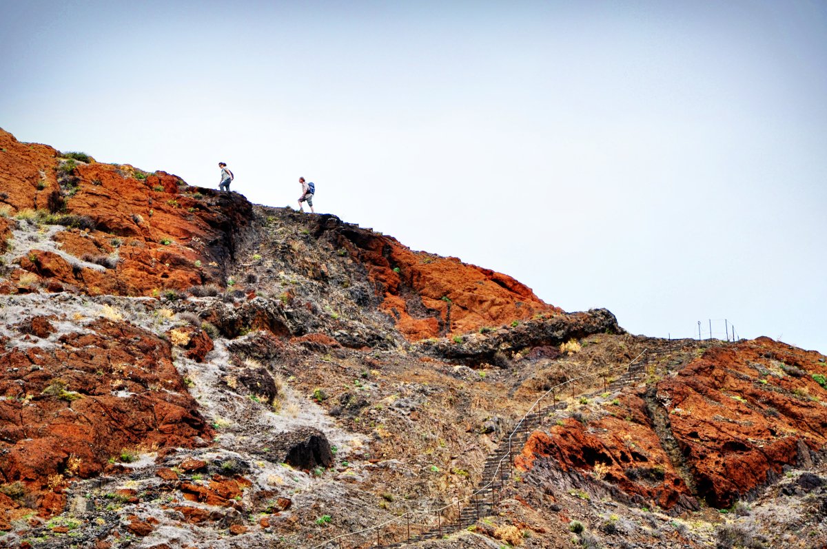 Going up
#photography #photographer #photographybloggers #photooftheday #landscape #landscapephotography #nature #NatureBeauty #naturephotos #beautiful #BeautifulWorld #Travel #traveltips #travelling #travelphotography #explore #trekking #ClimbTheHill #mountain #Portugal #Madeira