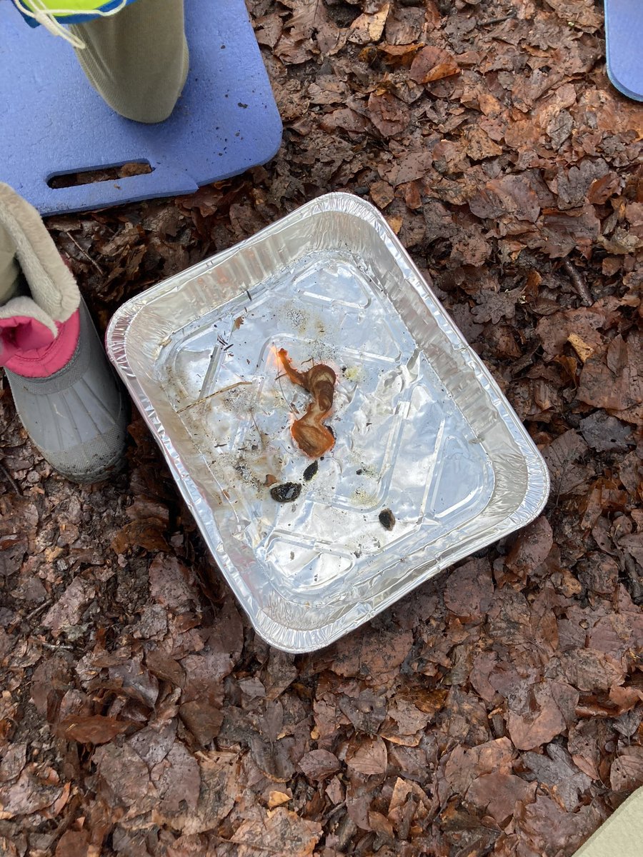Liff Primary (@liffps) on Twitter photo Learning about fire safety with “Fiery Fox” and using the fire steels yesterday at Forest School. Loving the milder weather after a couple of icy weeks! 🥶 #playoutdoors <a href="/SchoolAngus/">Angus Virtual School</a> <a href="/LtLScotland/">LtL Scotland</a> <a href="/nature_scot/">Former NatureScot account</a> Learning about fire safety with “Fiery Fox” and using the fire steels yesterday at Forest School. Loving the milder weather after a couple of icy weeks! 🥶 #playoutdoors <a href="/SchoolAngus/">Angus Virtual School</a> <a href="/LtLScotland/">LtL Scotland</a> <a href="/nature_scot/">Former NatureScot account</a>