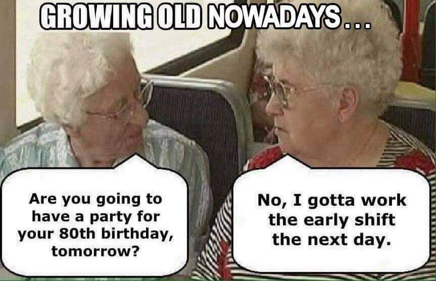 Fi 🌱🦖🌼🦖🌱 tweet media