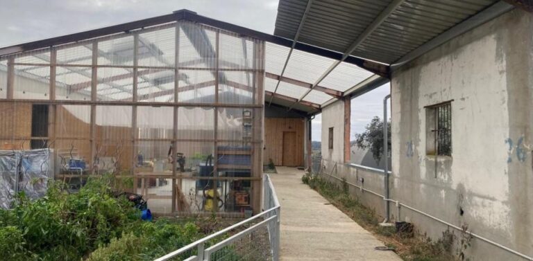 Llàtzer Moix tweet media