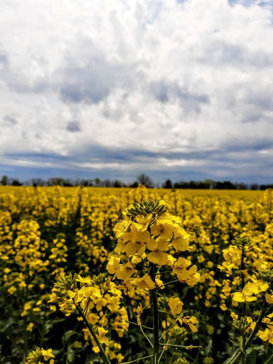 📚•٠Micol Manzo٠•📘 tweet media