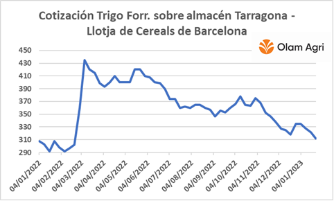 LlotjaCerealsB's tweet photo. El trigo, después de casi un año, vuelve a niveles de pre-invasión de Ucrania. https://t.co/JrxzKJujVx