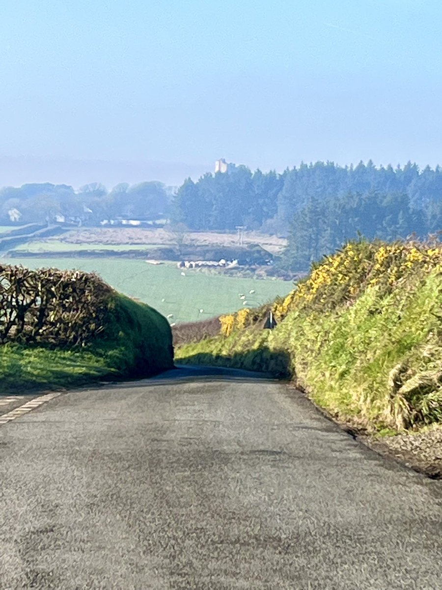 Lowri Bowen tweet media