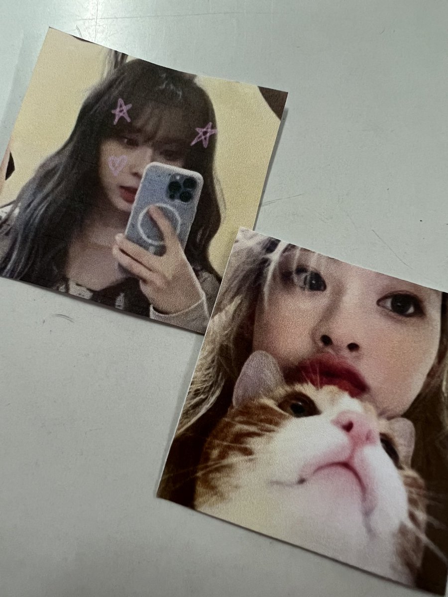 studyfragile's tweet image. Lucu bgt