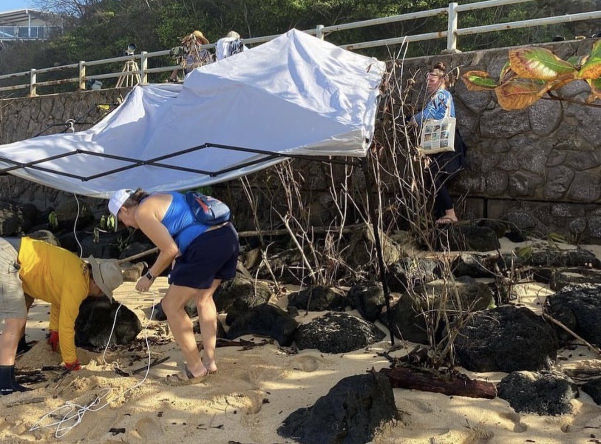 Tamrinsummer's tweet photo. 500 lbs of trash left behind!!! Don’t fucking come to north shore if you can’t clean up after yourselves! So pilau for real. Especially when no one listens to the lifeguards and gets all their shit washed into the ocean. 🤡🤡 mahalo to the volunteers who cleaned up the next day!! https://t.co/4Jf4AgolQW