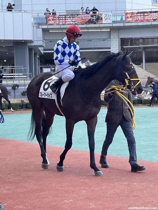 ブルーアーカイブコパノリッキー產駒で、母は南関東で活躍したのブルーチッパー。大変期待されていた(?)新馬戦はやや落ちたものの、この先はまだ遠い。可能性が満ちた未来へLET'S GO!!!!!!!!!(例のミーム#オリジナルウマ娘  