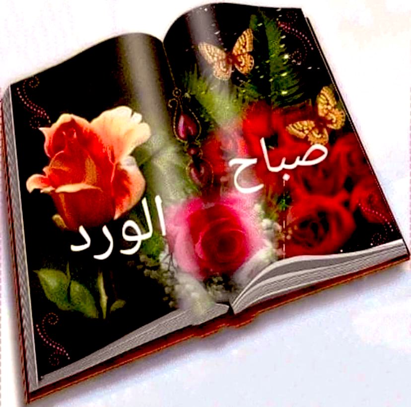 mariamalami tweet media