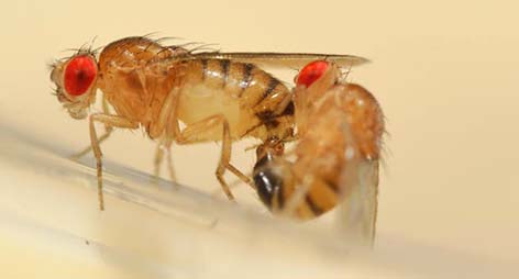 PhilipsbornLab - now on Mastodon! tweet media