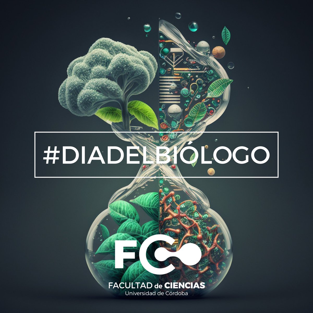 Fac_CienciasUCO's tweet image. 🗣¡Hoy 25 de enero  nos sumamos a la celebración del #DiaDelBiólogo!
🧬 🆙
#BiologistDay 
#Biólogas #Biólogos 
#Biotecnólogo #Biotecnólogas
#Biotech #Biotecnología @Univcordoba