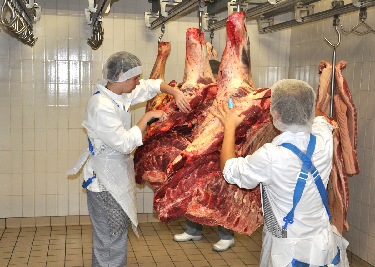 Iris Cornette - Ter Groene Poorte tweet media