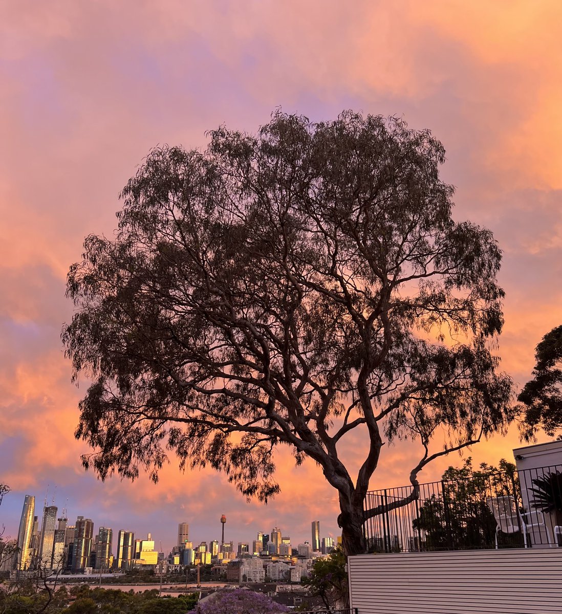 michael sheen 💙 tweet media