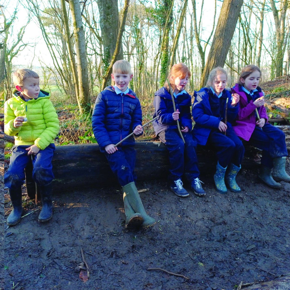 Sherborneprep's tweet photo. Year 4 had a great time whitling sticks at Forest School on Friday and helping their teacher, Mr Treavett, make a fire to toast marshmallows for smores!
#ForestSchool #SherbornePrep #countryprep #outdoorlearning https://t.co/sALzA5KWQz