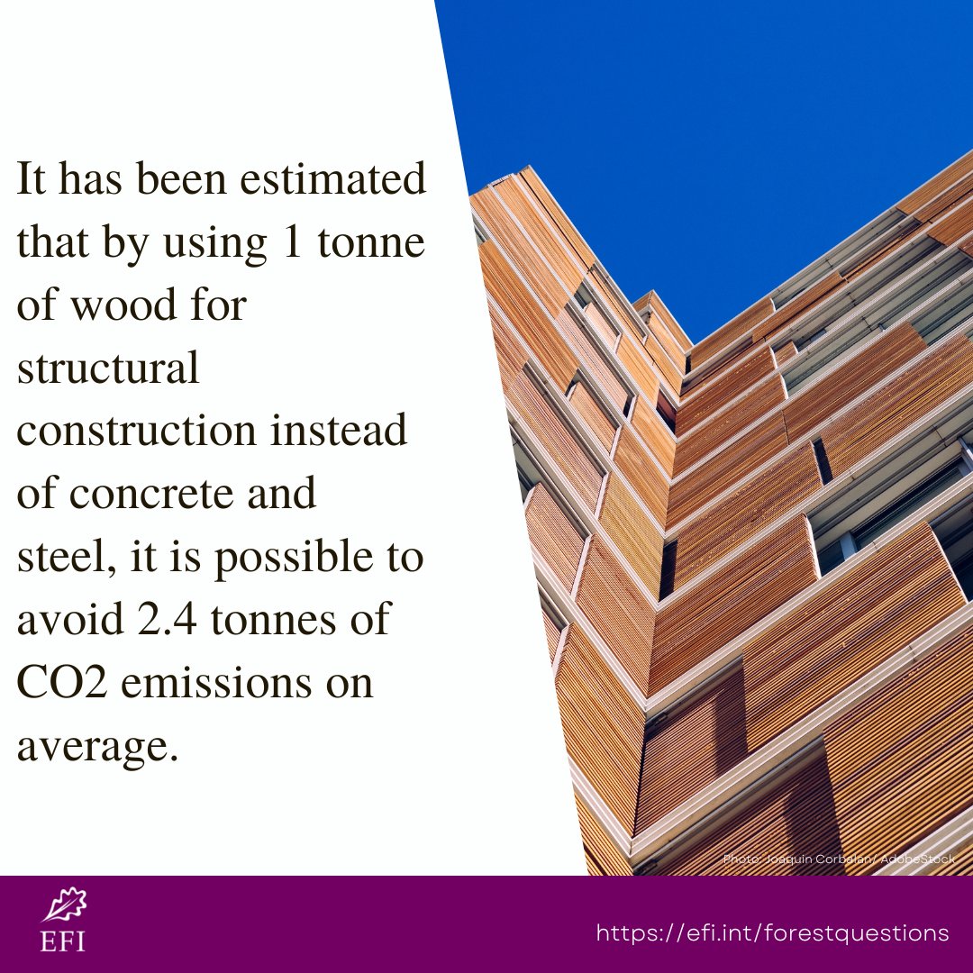 European Forest Institute (EFI) tweet media