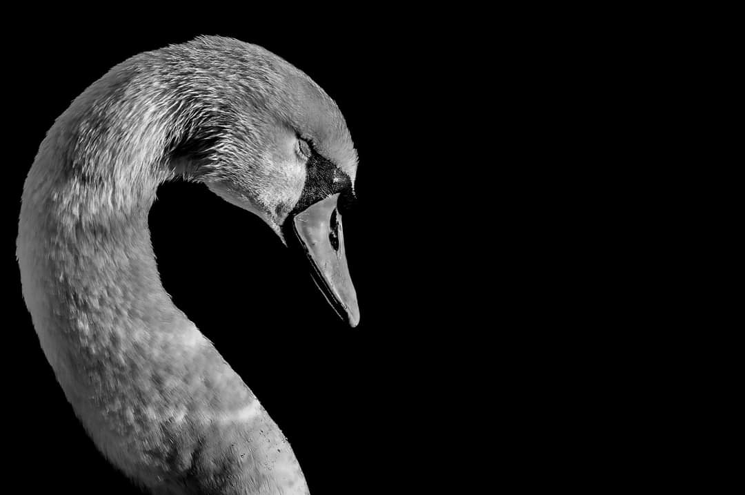 Jmitcheson1's tweet photo. @Lightroom https://t.co/L6VTdQ5IZX