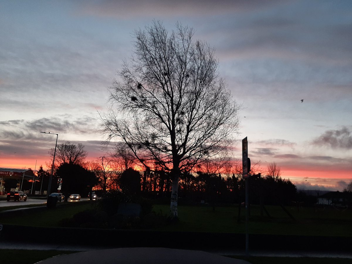 Marty Wardick tweet media