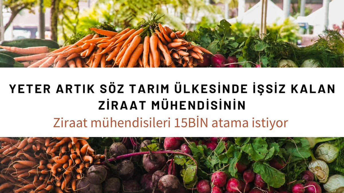 Ziraat mühendisleri olarak yıllarca bekledik 15 bin atama atama alana KADAR BURADAYİZ <a href="/TCTarim/">T.C. Tarım ve Orman Bakanlığı</a> Şubatta sizden güzel haberler BEKLİYORUZ sn <a href="/VahitKirisci/">Prof.Dr.Vahit Kirişci</a> @MetinKiratli01 <a href="/RTErdogan/">Recep Tayyip Erdoğan</a> <a href="/HMBakanligi/">T.C. Hazine ve Maliye Bakanlığı</a> yıllarca süren bekleyişe değecek bir alım olmalı <a href="/FatihSATICI/">Fatih SATICI</a> 
#Secime15BinZiraat