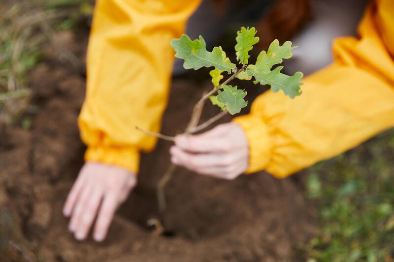 TU Dublin Sustainability / Inbhuanaitheacht (@tudublinsustain) on Twitter photo Leave your legacy at TU Dublin for years to come by planting a tree! 🌳
<a href="/WeAreTUDublin/">TU Dublin / OT Baile Átha Cliath</a>’s tree planting activity with <a href="/pocketforests/">@pocketforests</a> takes place tomorrow Thursday 26th January at Lower House, Grangegorman, at 10:00am - will you join?
#TUDublinSustainability
<a href="/SLWCTUDublin/">Students Learning with Communities, TU Dublin</a> Leave your legacy at TU Dublin for years to come by planting a tree! 🌳
<a href="/WeAreTUDublin/">TU Dublin / OT Baile Átha Cliath</a>’s tree planting activity with <a href="/pocketforests/">@pocketforests</a> takes place tomorrow Thursday 26th January at Lower House, Grangegorman, at 10:00am - will you join?
#TUDublinSustainability
<a href="/SLWCTUDublin/">Students Learning with Communities, TU Dublin</a>