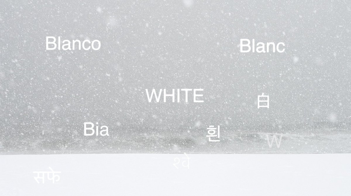 WHITE , my winter journey 

youtu.be/pl0xvHb038w

#knft #NFTCommuntiy #nftphotography #NFTphotographers #nftart #nftvideo