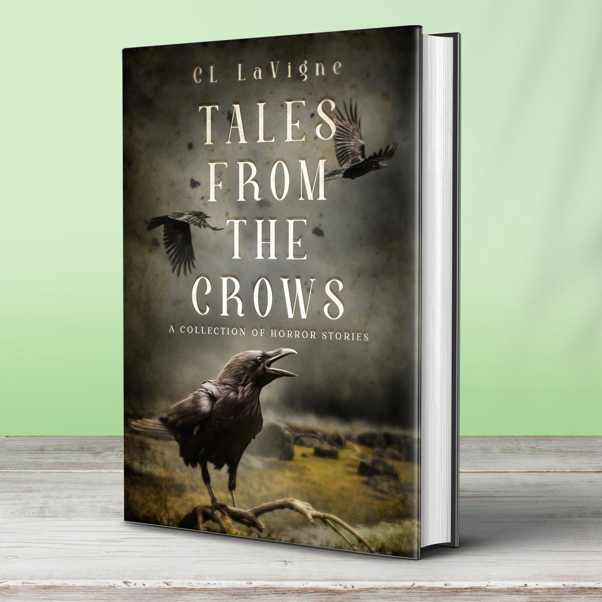 #bookcoverdesign
We've designed this cover for a #horror stories collection by  <a href="/CLLaVigneAuthor/">CL LaVigne, Fantasy Author</a> 😍
📚 Our website link: miblart.com/?ref=katiabalab
No deposit ⚬ Unlimited revisions ⚬ 24/7 Support team

#WritingCommunity #Writers #AuthorsOfTwitter #HorrorWriters #amWritingHorror