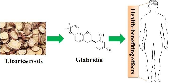 DovePress's tweet image. Review on the Diverse Biological Effects of #Glabridin
👇
dovepress.com/review-on-the-…

#LicoriceRoot #Licorice #HerbalMedicine