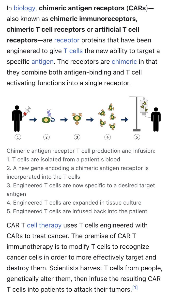 MonaShegdar's tweet photo. مين يفتكر حلمي عن T Cell و علاج الكانسر 😁
اليوم حضرت عرض تقديمي على نفس الموضوع و هو استخدام CAR T cell لاستهداف السرطانات الصلبة اعاذكم الله
المهم اللي حابب يعرف اكثر عن الموضوع يقرأ الصورة اللي ارفقتها بالتغريدة https://t.co/0WTzt11xu4