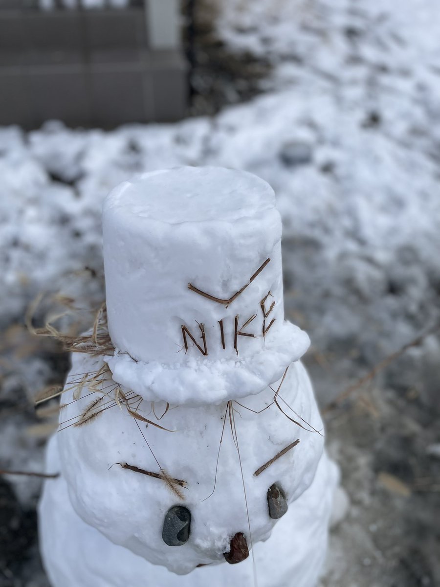 暇すぎて嫁ちゃんがつくりたがったからつくっちまった⛄️