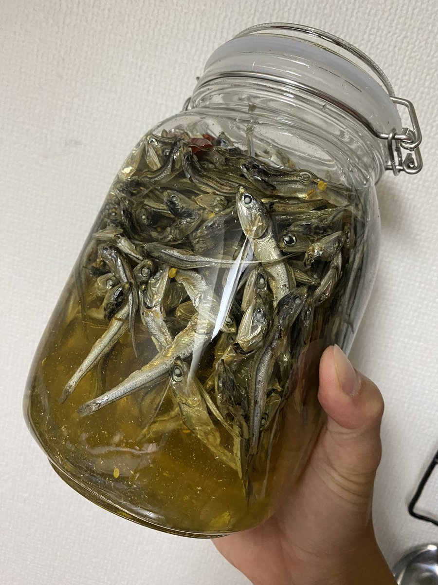 1.5ℓの煮干酢作りました！しばらくつまみには困らない！
もはや業務用