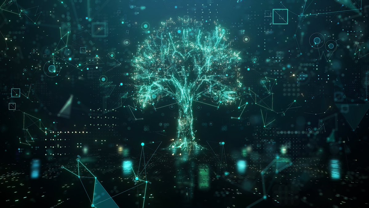 plant_a_tree_io's tweet photo. 🚀 Project update 🚀- our development team is currently working on a feature enabling users to confirm amount of planted trees and amount of offset CO2 associated with their #NFT on our website.
The feel good NFTs❤️
🌳🌲🌴
#environnement #plantatree #co2offset https://t.co/h6LqLORXht