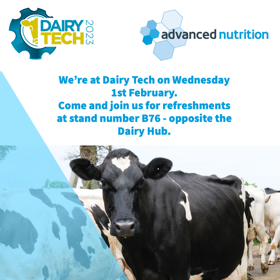ARN_Home's tweet photo. Just 1 week to go till @Dairy_TechUK look forward to seeing you there!
#dairytech2023 #AdvancedNutrition https://t.co/VMIEQpmuHn