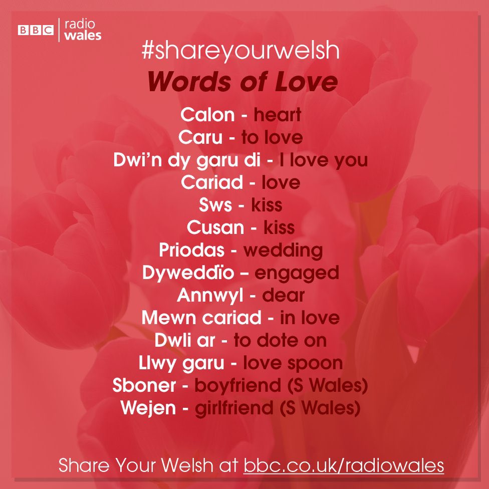 💖💕 Dydd Santes Dwynwen Hapus! Why not try using some of this Welsh vocab today #santesdwynwen @stjohnlloyd