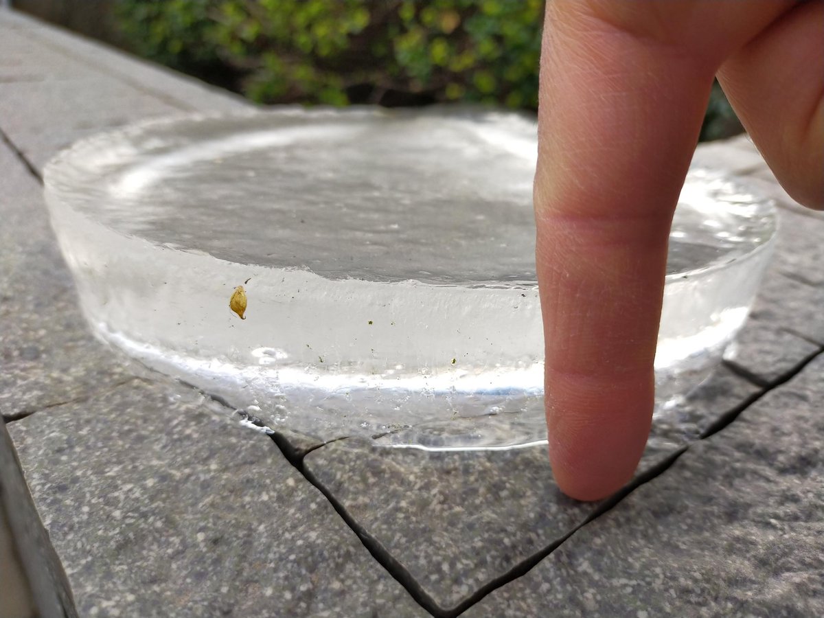 福岡北部は昨夜雪が積もらず、主要道路は普通に運転できました。
親の通院日だったので、ありがたや～。

庭に出してたバケツの水が凍ってました。庭には一面霜柱（懐かしいー） https://t.co/KGP0UPt8Jy