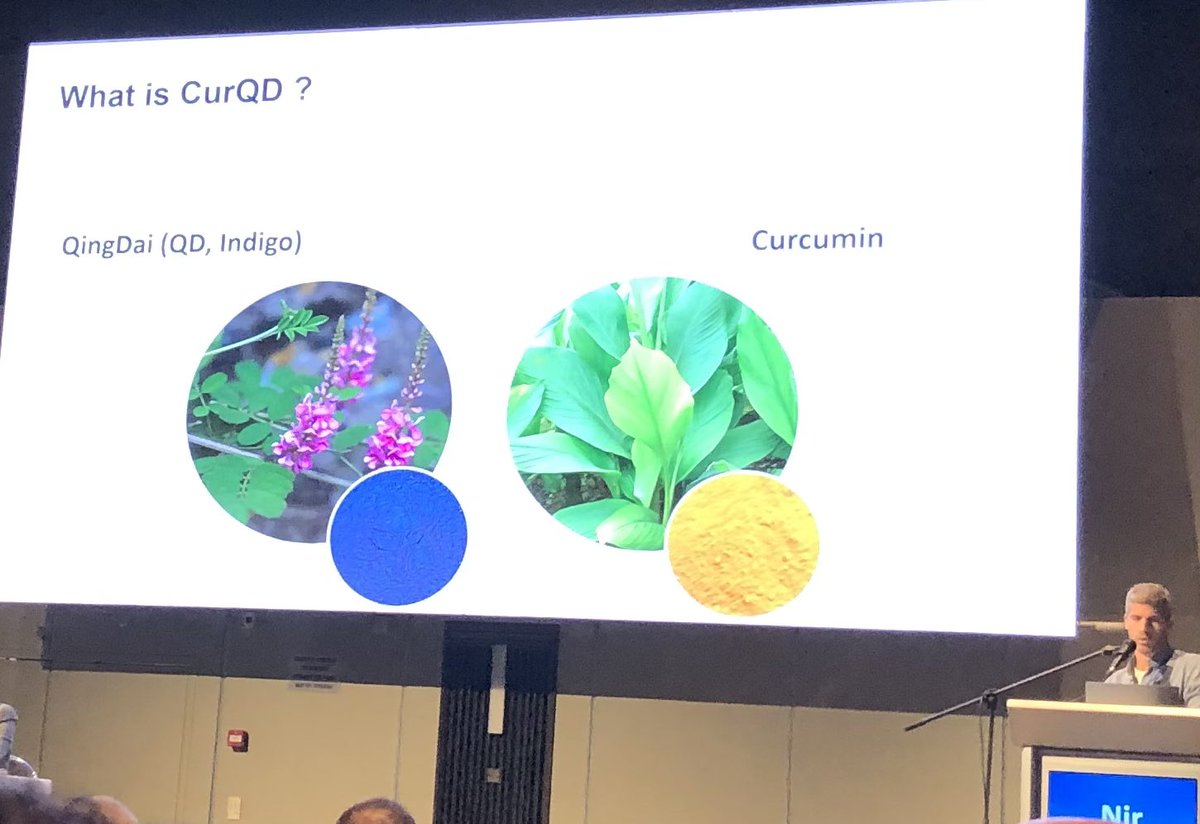 stevenbollipo's tweet image. Great presentation from Dr Nir Salomon from @sheba_medical @SHEBA_ on the benefits of #curcumin 🟡 and #QingDai 🔵 in active ulcerative colitis #IBD #GItwitter 
#CurQD induces rapid remission of active UC even in biologic ex patients! 
#GITelAviv2023